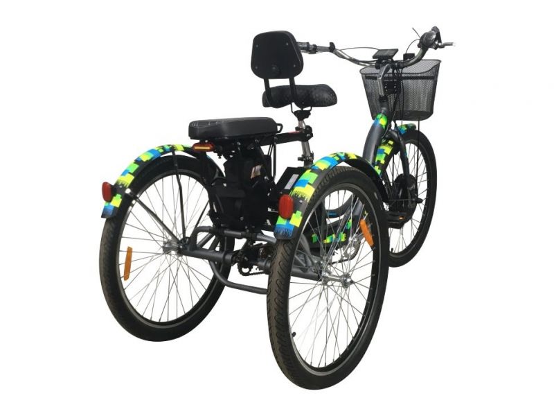 Электровелосипед трехколесный Horza Stels Trike Passenger 1000W 48V/15Ah